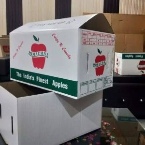 Apple Corrugated Boxes
