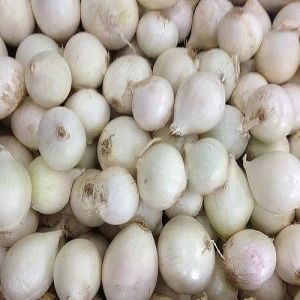 A Grade Fresh White Onion