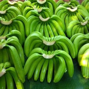 G9 Fresh Green Banana