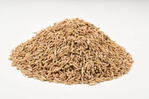 Cumin Seeds
