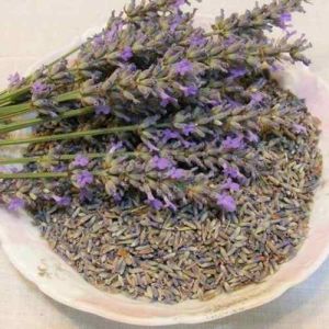 Dried Lavender Flower