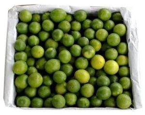 Fresh Green Lemon