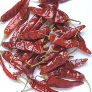 Guntur Red Chilli