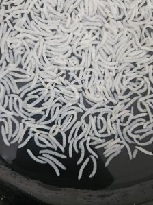 1121 Steam Basmati Rice