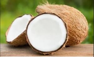 Semi Husked Coconuts