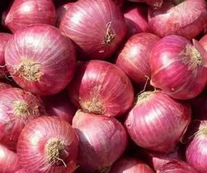 Onions