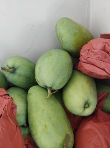 Imam Pasand Mangoes