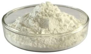 Fungal Diastase Powder
