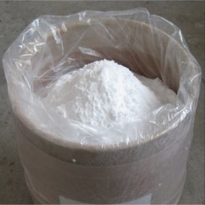 Pepsin Enzyme Powder
