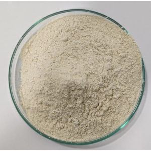 Serratiopeptidase Enzyme Powder