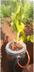 Temperature Integrated Advanced Lysimeter