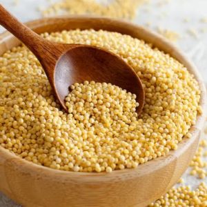 Foxtail Millet