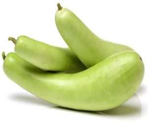 Fresh Bottle Gourd