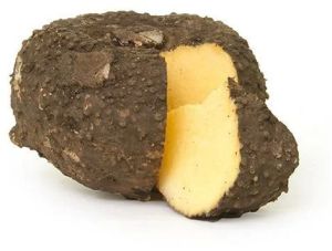 Fresh Elephant Foot Yam