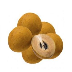 Fresh Kalipatti Chikoo