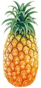 Fresh Natural Pineapple