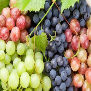 Fresh Sweeet Grapes