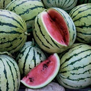 Fresh Sweet Watermelon