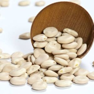 Lupin Beans