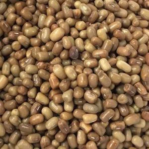 Turkish Gram