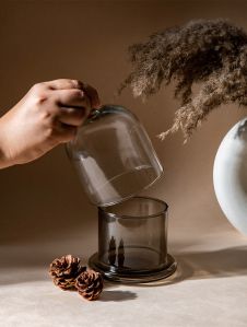 Glass Bell Jar