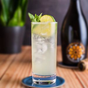 Highball Glass