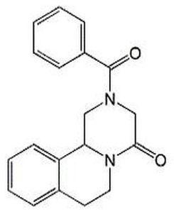 Praziquantel Impurity B Powder