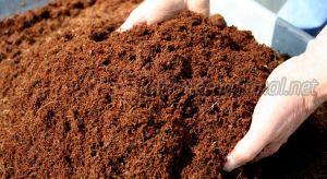 Coir Pith Powder