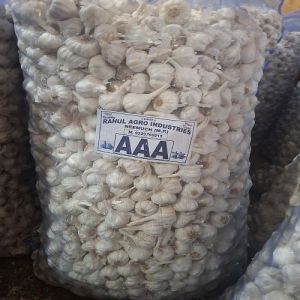 Aaa Grade White Whole Garlic