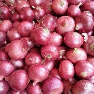 Fresh Indian Red Onion