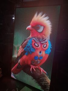Indoor & Outdoor Advertising Display