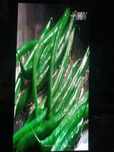 OUTDOOR ADVERTISING DISPLAY SCREEN