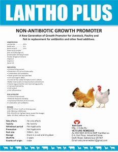 Lantho Plus