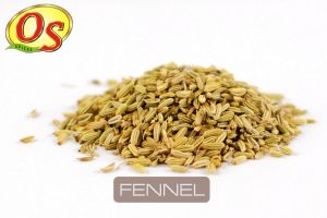 Natural Fennel Seeds