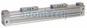 ZTS Tandem Rodless Cylinder