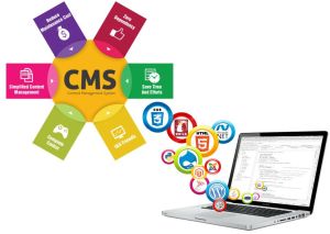 CMS Website Development Services