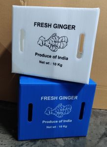 Ginger Packaging Box