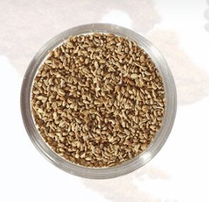 Carom Seeds