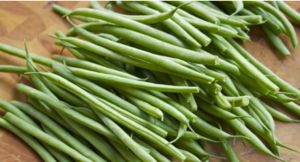 Green Haricot Beans