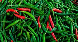 Red Green Chilly
