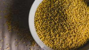 Barnyard Millet Seeds