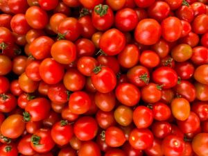 Fresh Red Tomato