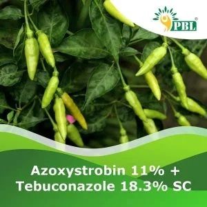 Azoxystrobin 11% + Tebuconazole 18.3% Sc Pesticide