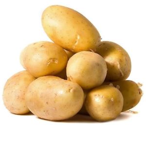Fresh Potato
