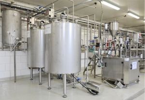 Curd Yogurt Butter Milk Processing Systems Processing Machine