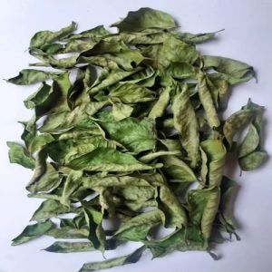 Dehydrated Curry Leaves