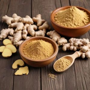Regular Dehydrated Ginger Powder