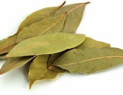 Dry Bay Leaf
