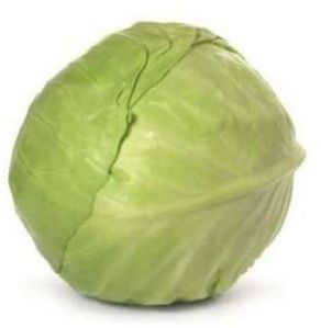 Fresh Cabbage