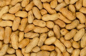 Groundnuts